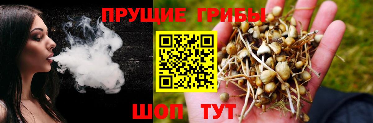 Псилоцибиновые грибы GOLDEN TEACHER Курган