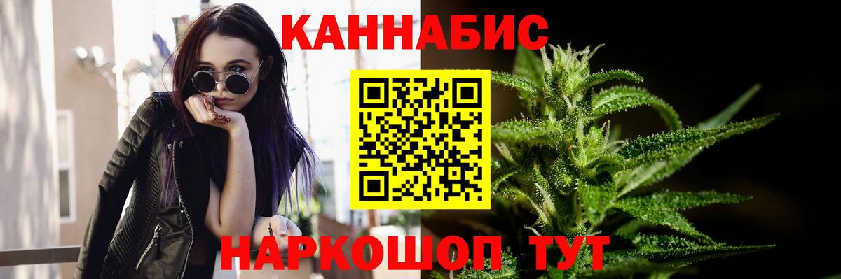 Бошки марихуана OG Kush  Марихуана план  Вход с VPN  Курган  Бошки марихуана THC 21% 